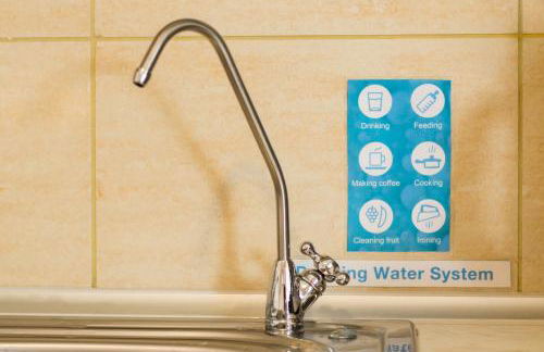 Alpha & Omega - Foto 12