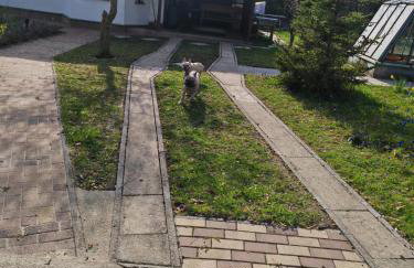 Ferienhaus an den Eichen - Photo 35