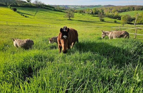 Domaine de Massoulac - Foto 36