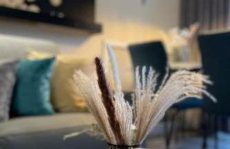 Holiday Home Zandtissimo 49 by Interhome - Foto 20