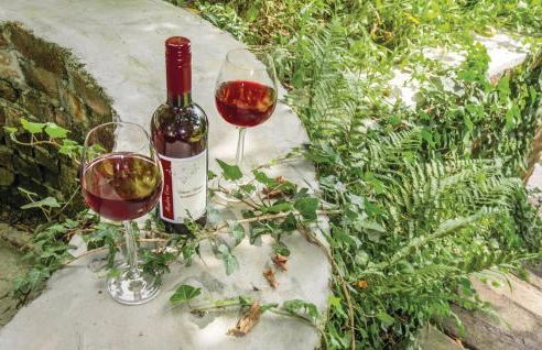 Kuća za odmor Mila - Foto 17