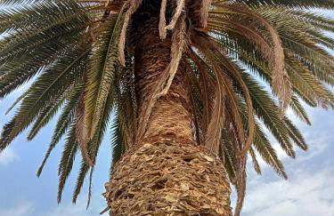 Village Naturiste R4N - Le Velvet Jardin d'Eden Couple Only Luxe - Foto 15