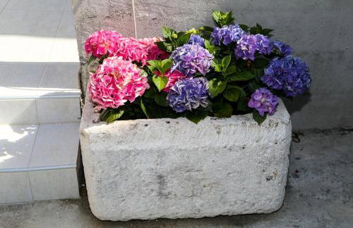 Apartments Seka - Foto 63