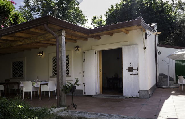 Agricontura - Foto 71