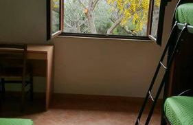 Il Lentischio del Sinis - Foto 15