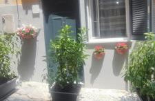 La Casetta di Margò - Foto 19