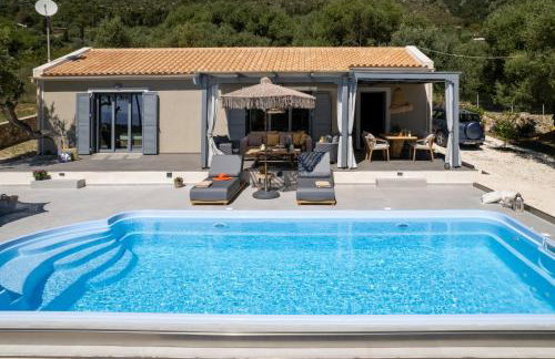 Tree of Life - Foto 15