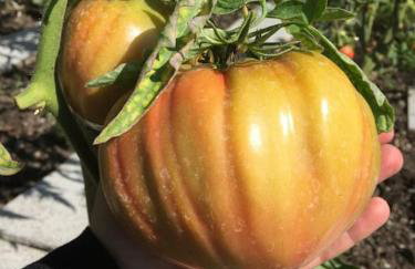 Privat Apartment- Near Strasbourg, Baden Baden - Foto 40