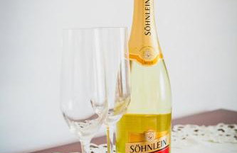 Wiola Verde - Foto 23