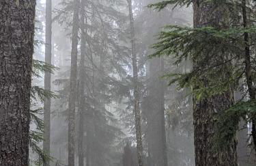 58MF - Wi-Fi - Pets OK - EVC - Amazing Views cabin - Foto 75