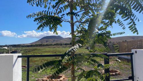 Casa Guillermo - Foto 4