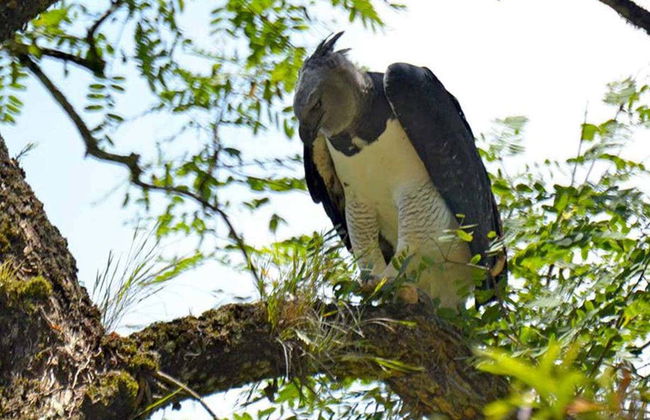 Calilegua National Park Tour - Foto 2