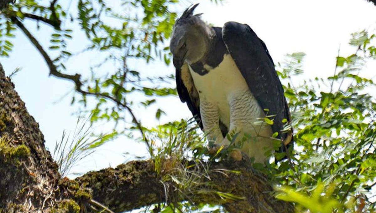 Calilegua National Park Tour - Foto 2