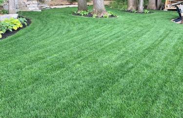 7 Bed Beachfront with Scenic Views Sister Lakes - Foto 11