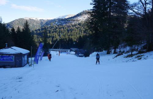 Résidence récente au Lioran à proximité des remontées mécaniques - Photo 43