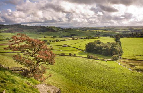 The Traddock - Foto 12