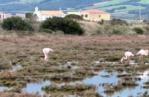 Via Roma House appartamento - Foto 5