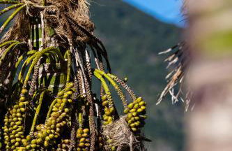 Stone House ''Vista'' By Atlantic Holiday - Foto 64