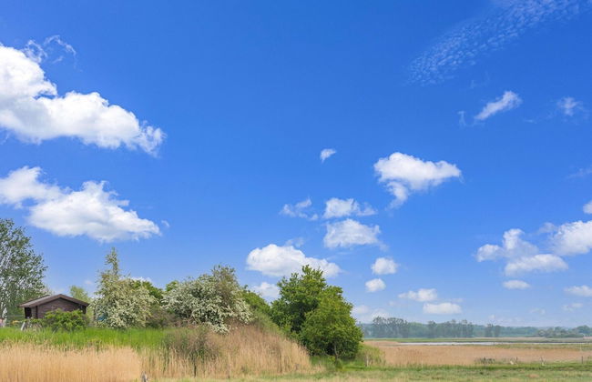 Snug Bungalow in Insel Poel Germany near Beach - Photo 39