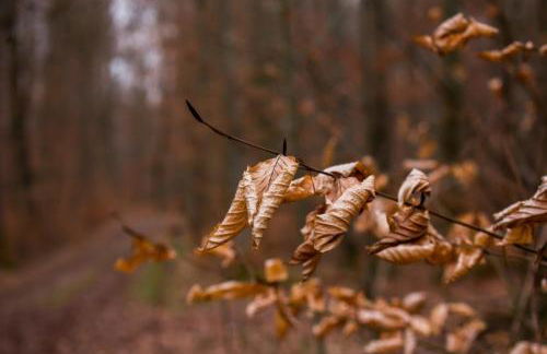 Ferienwohnung Stadtblick - Foto 23