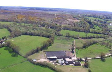 Arniss New Forest - Photo 51