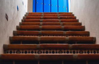 Algarrobo Azul - Foto 15