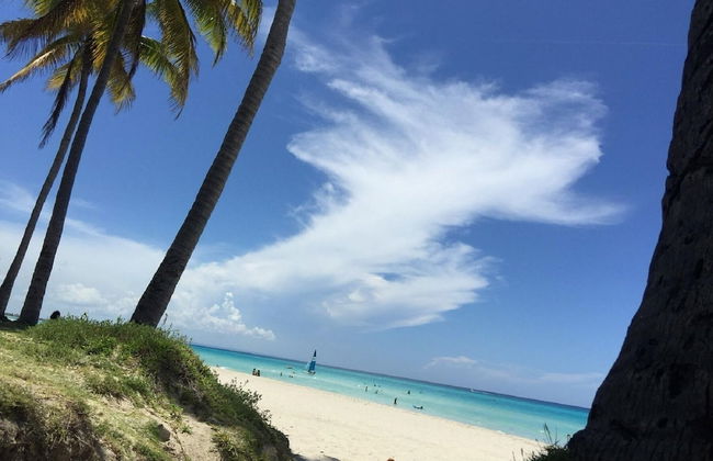 Casa Marlin - Foto 47