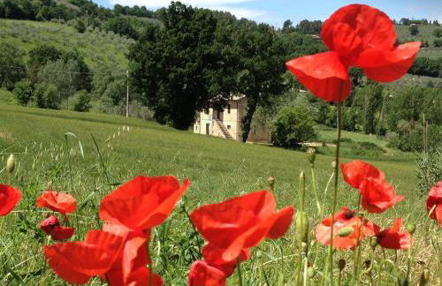Appartamenti Verde Collina Umbra - Foto 62
