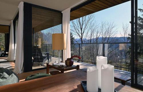 L'Avancée Chalet contemporain au coeur du Sancy AUVERGNE - Foto 14