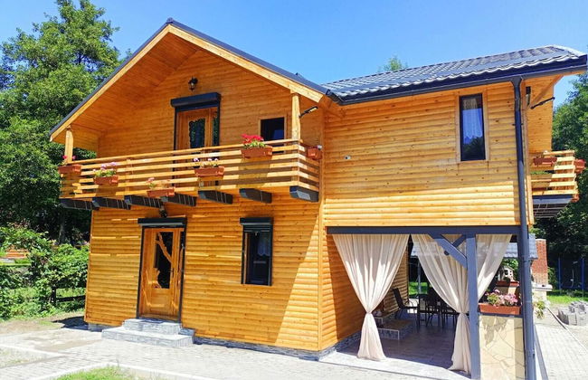 ART House Transylvania Sibiu - Foto 12