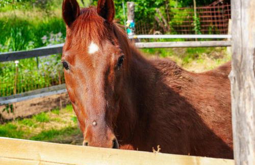 Il Nido di Erin - Photo 34
