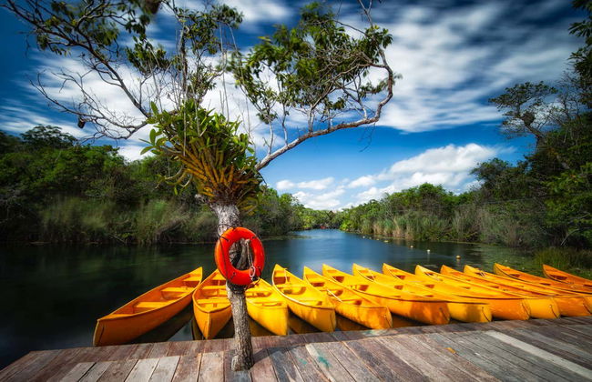 Tulum + Tankah Park Tour - Foto 4