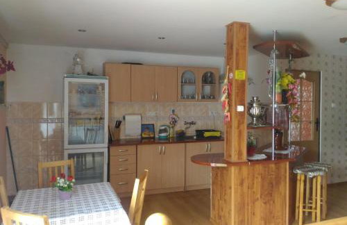 AGROTURYSTYKA POD ŚNIEŻNĄ - Foto 51