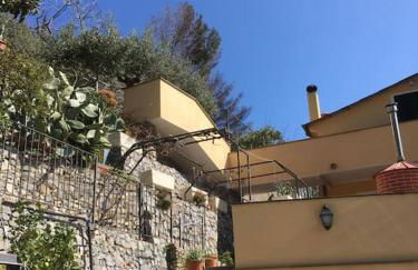 Ulivi e Mare - Foto 2