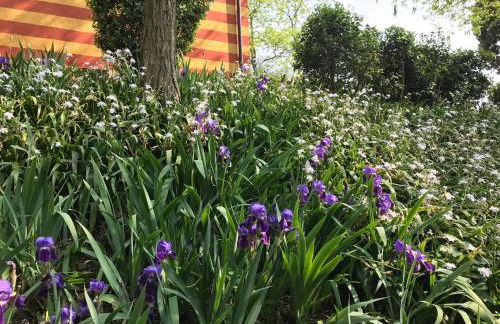 Agriturismo Antica Dimora Del Turco - Foto 54