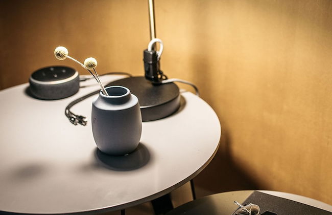 URBN Dreams - Misty Forest - Foto 2