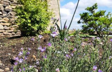 Beautiful countryside cottage, sleeps 6, dogs welcome - Foto 25