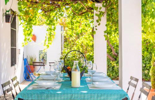 Huerta la Pimentada - Foto 60