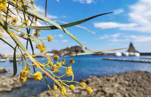 Etesia Vacation Home - Foto 64