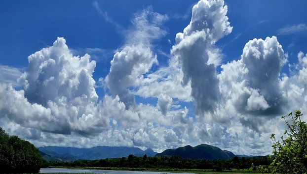 Observação de Aves e Vida Selvagem - Tour de Meio Dia - Foto 3