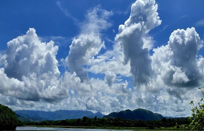 Birdwatching and Wildlife Expedition - Half-Day Tour - Photo 3