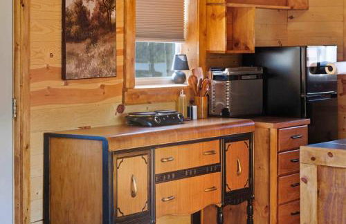 NEW! BEAR Necessities tiny home, outdoor theater! - Foto 39