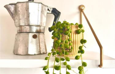 Flaminio Blues, Cozy Flat Near Piazza del Popolo - Foto 28