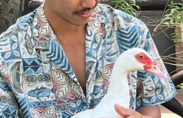 Poggio Roseto - Foto 76