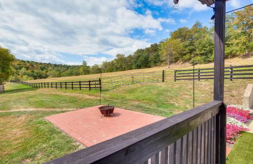 Meet Country Animals! Farmyard Stays Dundee Home - Foto 28