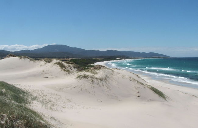 Seymour Waves - Photo 13