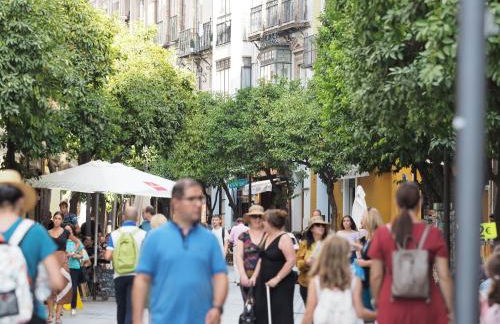 Apartamento Cruz Roja A - Foto 20