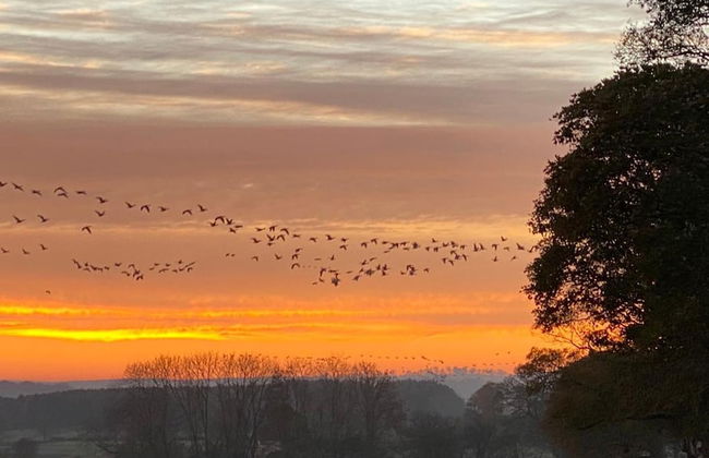 1 Bed Glamping Hut - Firepit, Fireplace, Views - Photo 2
