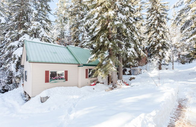 Cottage on the Stream - Photo 22