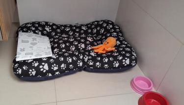 Apartamento completo - Foto 2